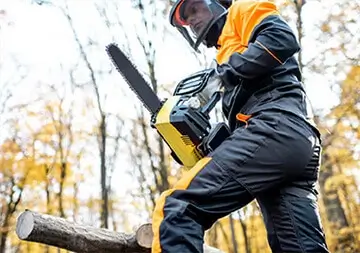 Art-Utility: Combining safety, practicality, and durability